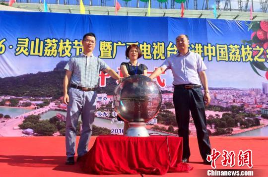 中国荔枝之乡广西灵山荔枝搭电商快车迅捷发