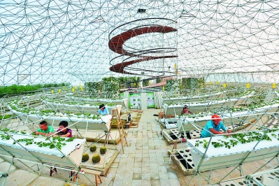 落户柏柱洋的鸟巢式生态农业