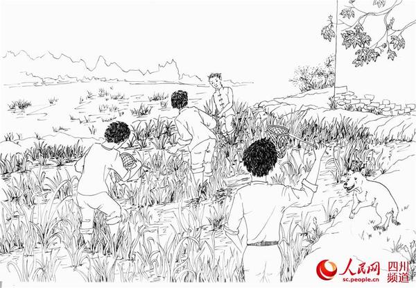 图三:骄阳似火,梧桐树上知了鸣叫。凶神恶煞的黄狗注视着在田间用小网兜舀沙虫的小伙伴们。
