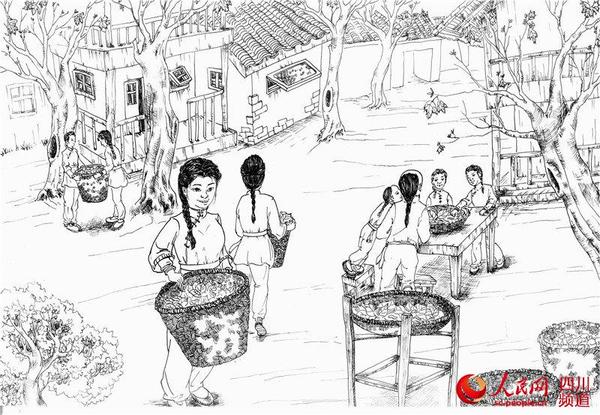 图二:老街两旁梧桐树长出新叶,梧桐树下,一群小伙伴围着一张养着蚕的簸箕唧唧喳喳。