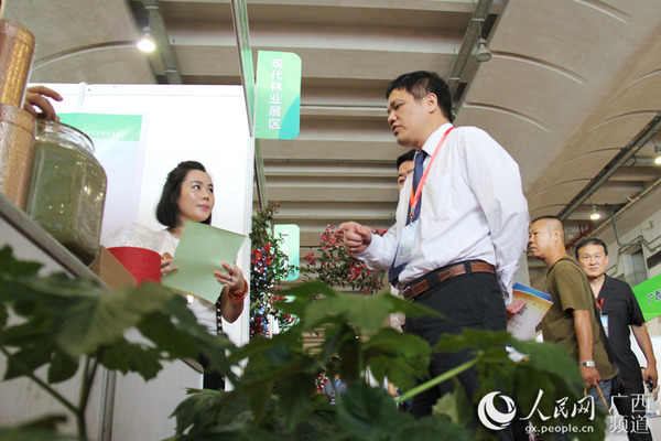 高峰林场常务副场长邱炳发走访高林明日叶展位