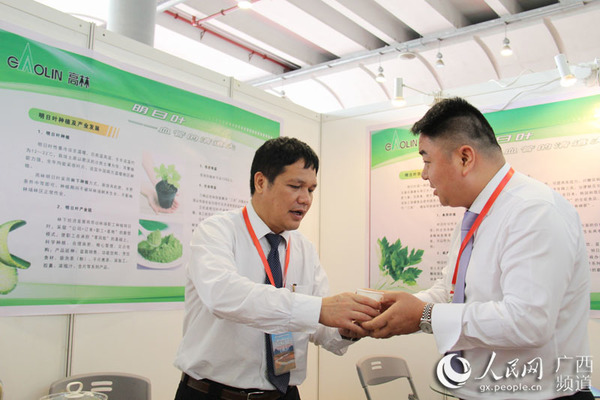 高峰林场常务副场长邱炳发向客商介绍明日叶功效