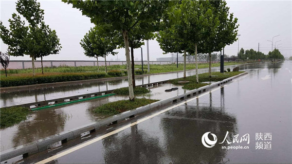 大雨来时，雨水通过收水口流入道路绿化带，实现雨水的收渗和净化。