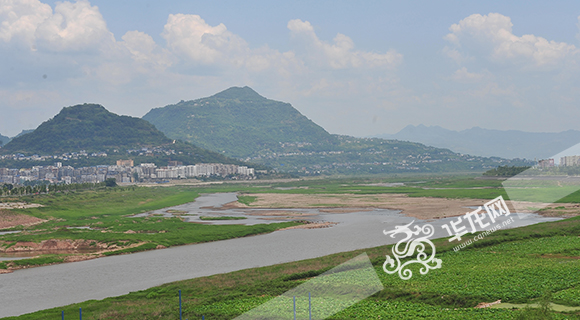 重庆开州区汉丰湖湿地。 通讯员 刘康 摄