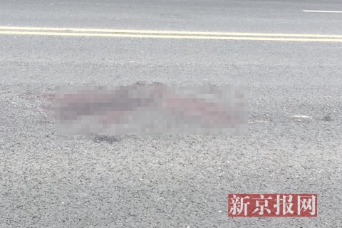 路面上的一摊血迹。新京报记者曾金秋摄