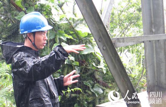 罗定春冒雨检查线路。(国家电网四川分公司 供图)