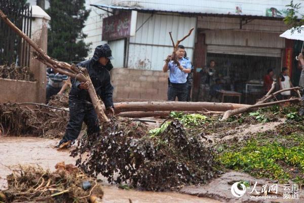 灾情发生后，景东县公安局迅速出动警力投入到抢险救灾工作中。（景东县公安局供图）