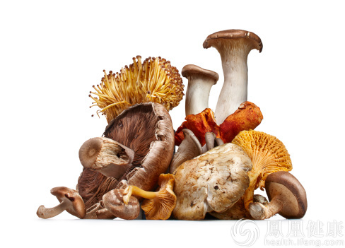 蘑菇抗氧化能力高 香菇炖鸡最入味