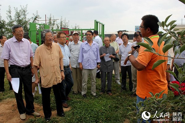 活动期间，各位书画名家前往海升矮砧苹果基地、千湖国家湿地公园等地进行采风