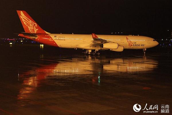 飞往阿斯旺的空客A340航班即将起飞。（倪嘉云 摄）