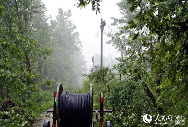 新洲供电公司在新集沙河现场抢架张寨泵站防汛线路。