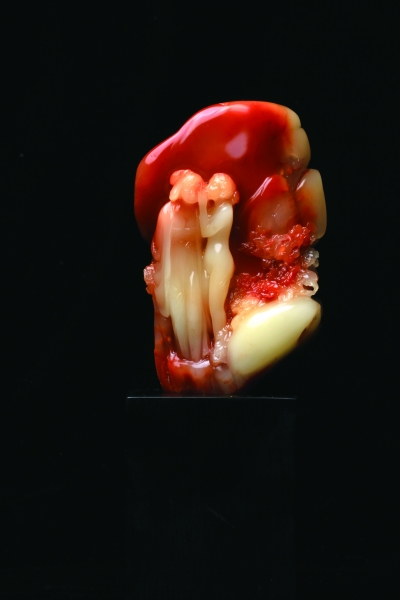 穿越(维纳斯与贵妃的悄悄话)