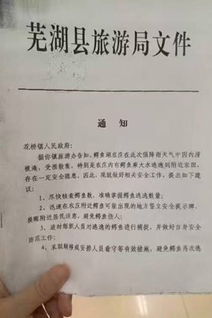 芜湖县旅游局文件“通知”。当地网友供图