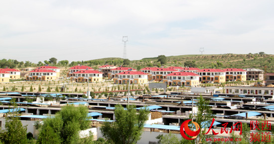 白绒山羊成了横山百姓的致富羊