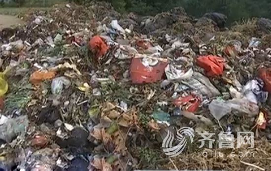 【乡村文明行动】潍坊寿光:塑料垃圾随意丢弃污染环境