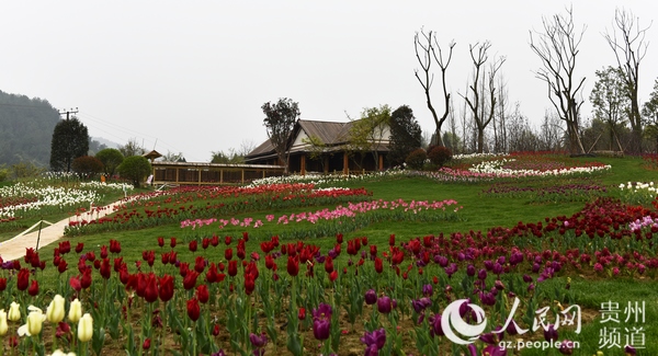 贵州新蒲新区:好生态吸引游客纷至沓来(组图)