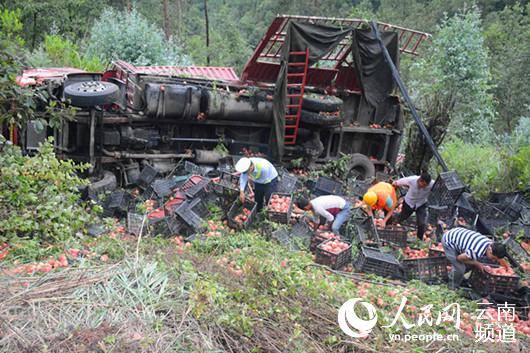 云南:驾驶员高速行驶打盹致车祸 12吨桃子散满边坡