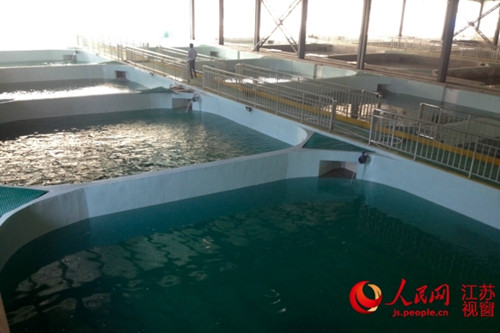 淮安现代渔业产业园内，现代鱼塘可以控制水温和含氧量，让鱼类在水体的承载量大大增加。