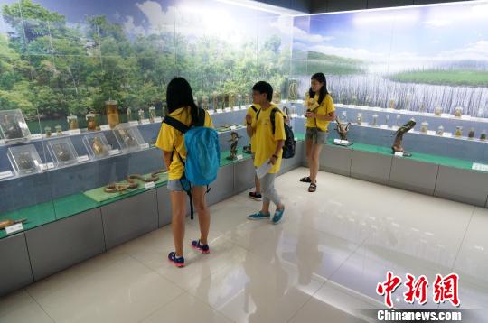 50名海外华裔青少年在江苏常州“寻根”。　秦嫣 摄