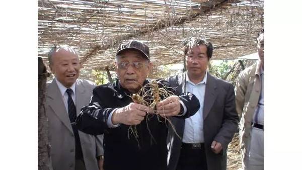 洛杉矶的针灸诊所竟然比中国的油盐酱醋店还多