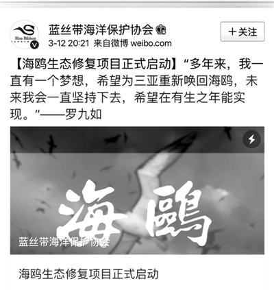 　　“三亚召回海鸥”活动宣传图