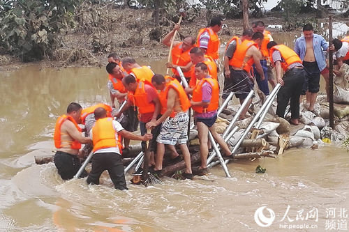 邢台宁晋:干群同心 坚决打赢抗洪抢险这场硬仗