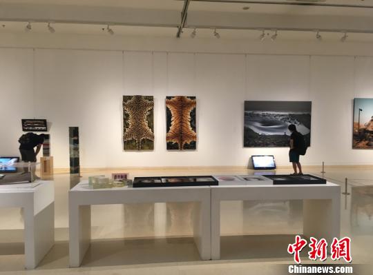中国当代生态艺术展河北开展 废弃物摇身变艺术品（图）