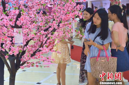 图为几名单身女青年在“缘分桃花树”上找寻缘分。　向一鹏　摄