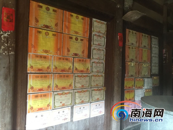 房间内贴满荣誉奖状。南海网记者 马伟元 摄