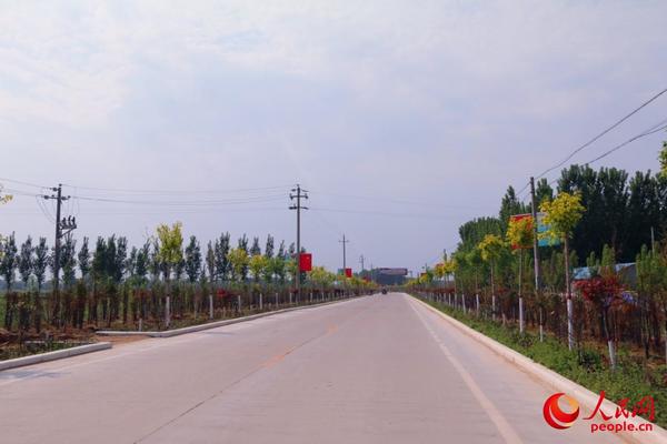 西姜寨乡崭新的道路两旁栽满绿树   付长超 摄