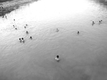 德州:临近开学 齐河村镇17岁高二男生野游溺水身亡