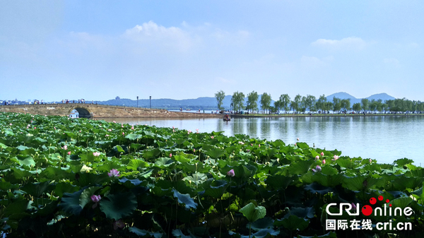 杭州西湖美景高清图 杭州西湖美景高清图画法