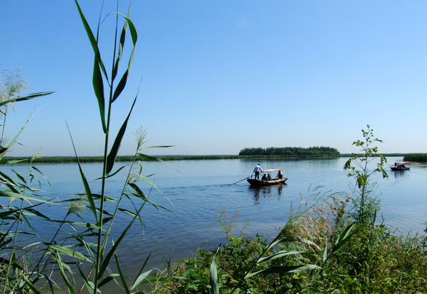 水清村美鱼跃鸟翔 河北要这样改善淀湖生态环境