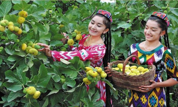 文化旅游节将推出多彩克州、美食克州、文化克州、健康克州等“文化盛宴”,尽展魅力克州风采。