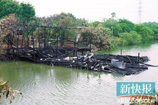 ■超过200平方米的木屋被烧毁殆尽,画家谢晓冰损失惨重。