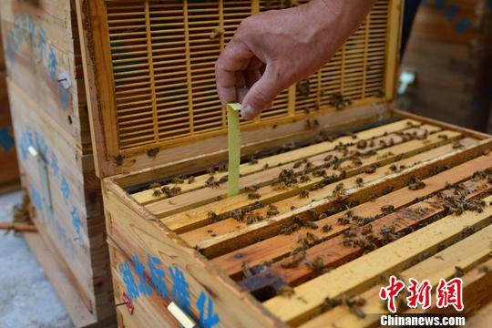 王亞東采取生物防治法防治病蟲　冉德強　攝