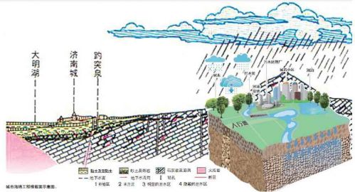 城市海绵工程横截面示意图