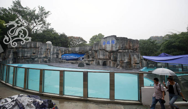 国庆来重庆市动物园看企鹅 冰雪场馆让它们不惧炎炎夏日_凤凰资讯