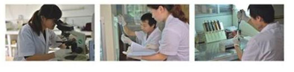 肝脏瞬时弹性成像(TE)