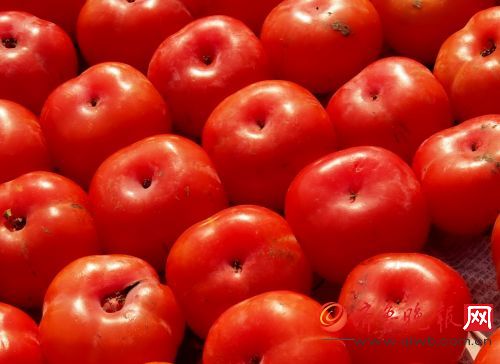 喝了蜜的柿子来了