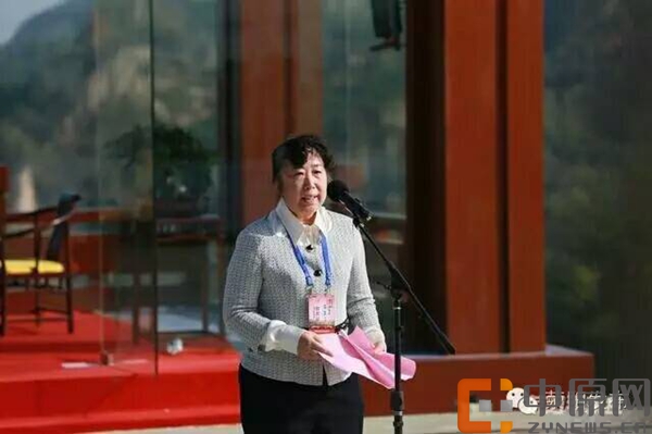 世界象棋联合会第一副主席陈泽兰