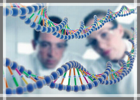 什么是基因冲突 ff0e27c0-5ed4-4654-9d02-1abd1a28ee4b_size60_w477_h342.jpg