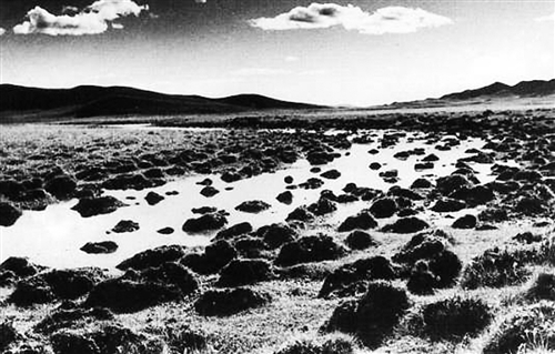 松潘草地(资料图片)