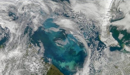 资料图片：NASA空拍巴伦支海的卫星照。