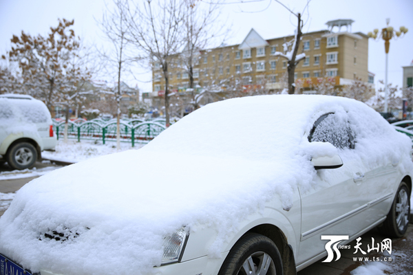 被降雪覆盖住的车辆。