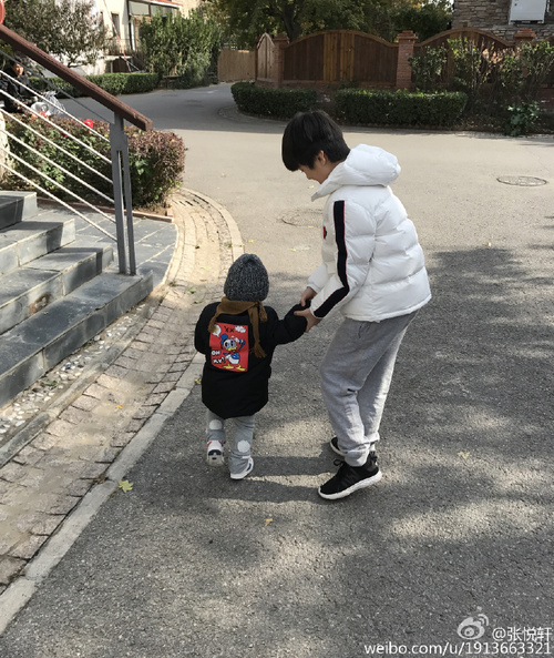正文   原标题:天天带妹妹出门遛弯儿 牵手保护哥哥好暖 10月29日,小
