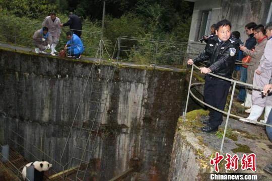 救援。(手机拍摄) 钟欣摄