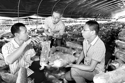 核查问题线索 确保精准扶贫