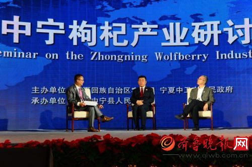 “中宁枸杞产业研讨”