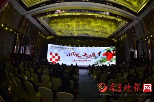 小枸杞 大健康——宁夏中宁枸杞专场推介会会议现场